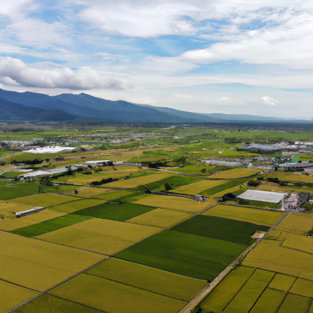 地域経済を支える土地活用の事例